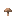 Brown mushroom